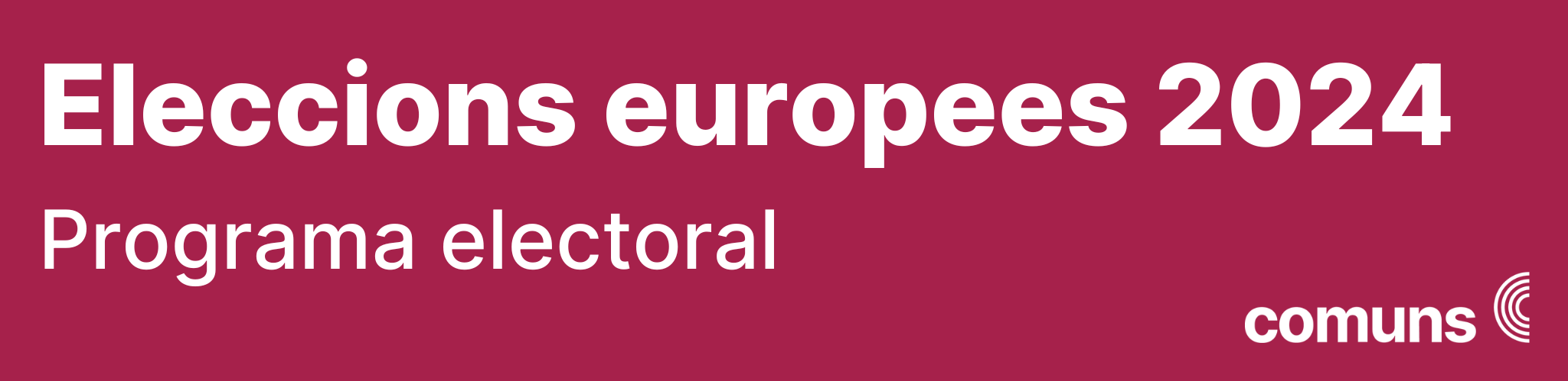  Eleccions europees 2024, programa electoral